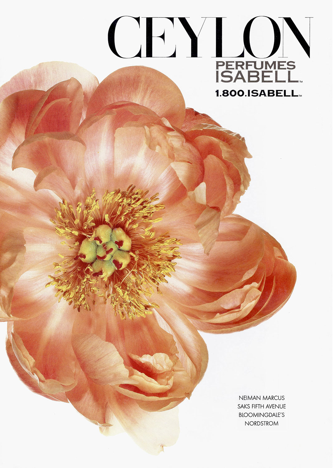 Advertising Still life Photographie Fotografie Studio Perfumes Isabel New York Ceylon Blume Flower Pfingstrose Peony Idris Kolodziej